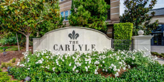The Carlyle Gallery 30
