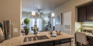 Century Palm Bluff Gallery 38