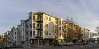 Jasper Apartments Gallery 20