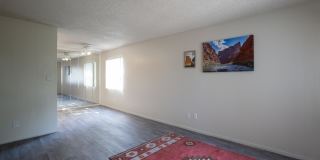 Icon on Pima Gallery 14