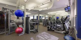 The Esquire on Fifth Gallery 2