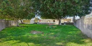 Desert Fountains at Palm Desert Apartments Gallery 6
