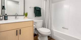 Scout apartments Gallery 23
