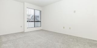 Riviera Vista Apartments Gallery 40