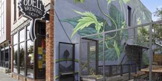 Camden RiNo Gallery 48