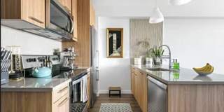 1775 Coney Island Avenue Gallery 2