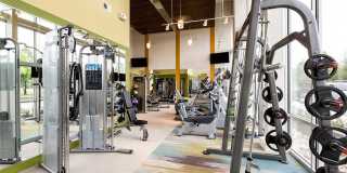 AMLI at Mueller Gallery 17