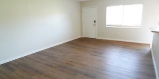 The Fairview Gallery 18