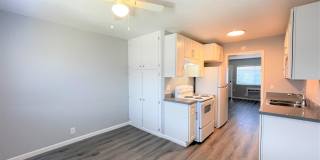 Summer Woods Gallery 1