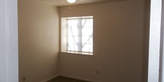 8124 Pinefield Dr Gallery 14