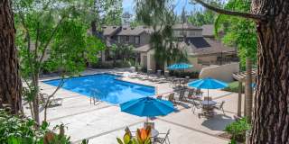 Westridge Apartment Homes Gallery 10