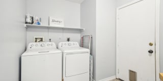 39 Longleaf Coral Gallery 18