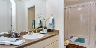 Ventura Vista Gallery 21