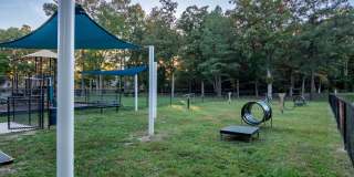 The Point at Beaufont The Point at Beaufont Gallery 11