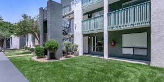 Treehouse Apartments Gallery 47