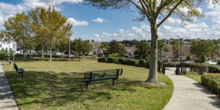 Vista at Lost Lake Gallery 44