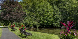 Redwood Hills Gallery 25