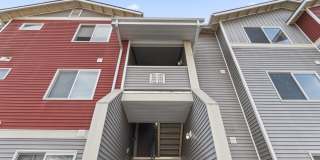 River View Collection Gallery 34