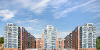 The Duchess Gallery 37