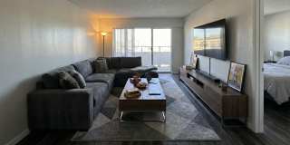 Regency Gallery 25
