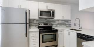 Boca Arbor Club Gallery 32