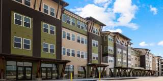 Canopy Park Gallery 39