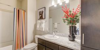 Springs at Locust Grove Gallery 4