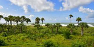 1485 GULF OF MEXICO DRIVE Gallery 41