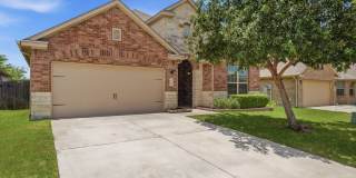 309 ALBARELLA Gallery 1
