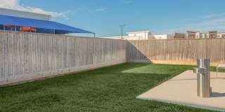 Territory at Greenhouse Gallery 29