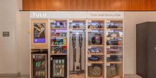 Live Grandscape Gallery 11