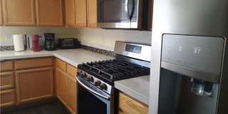 8523 Barberry Gallery 16
