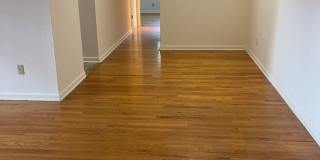 Graduate and Professional Gallery 158