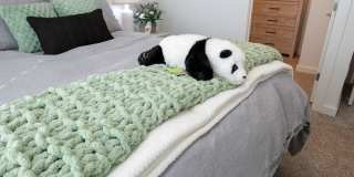 Ascend at Hilltop Gallery 89