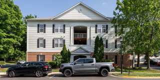 42537 ROCKROSE Square Gallery 1