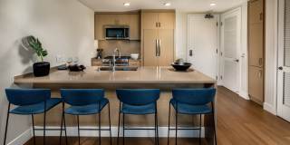 Palisade UTC Gallery 14