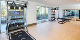 Vine North Hills Gallery 5