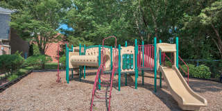 Maple Bay Gallery 19