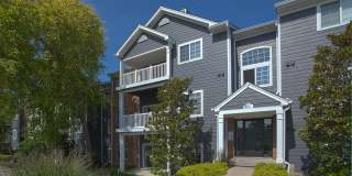Waterford Place Gallery 27
