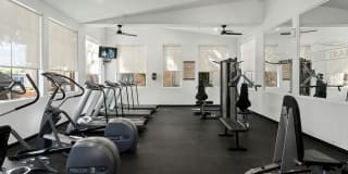 Painted Trails Gallery 7