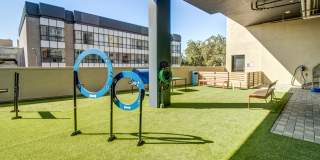 Centro Callan Gallery 8