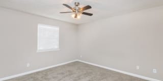 Sussex Downs Gallery 43