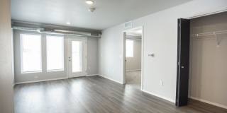 The Pitch Gallery 11