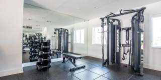 Legacy at Dadeland Gallery 13