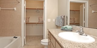 Ashley House Gallery 14