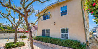 2419 S. Ridgeley Dr Gallery 3
