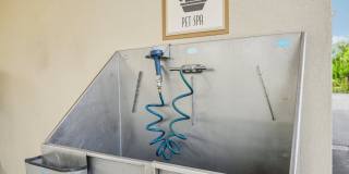 Springs at Gulf Coast Gallery 65