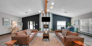 The District Gallery 1