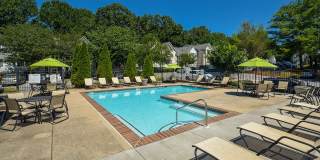 Orchard Park Gallery 23