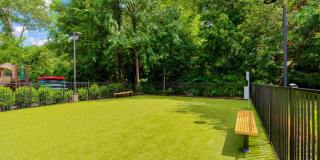 Lodge on the Chattahoochee Gallery 18